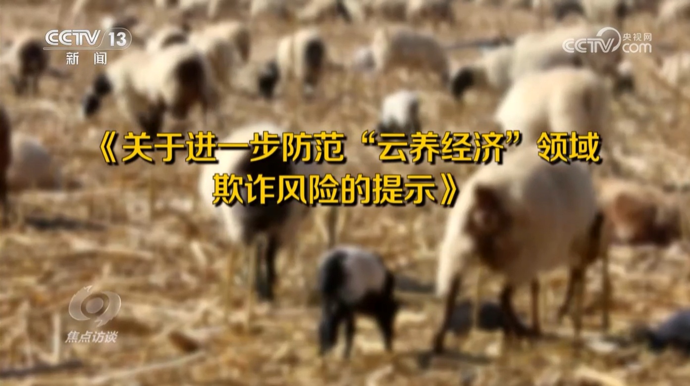 “云养殖”里藏骗局 多部门将联手严打此类非法金融活动