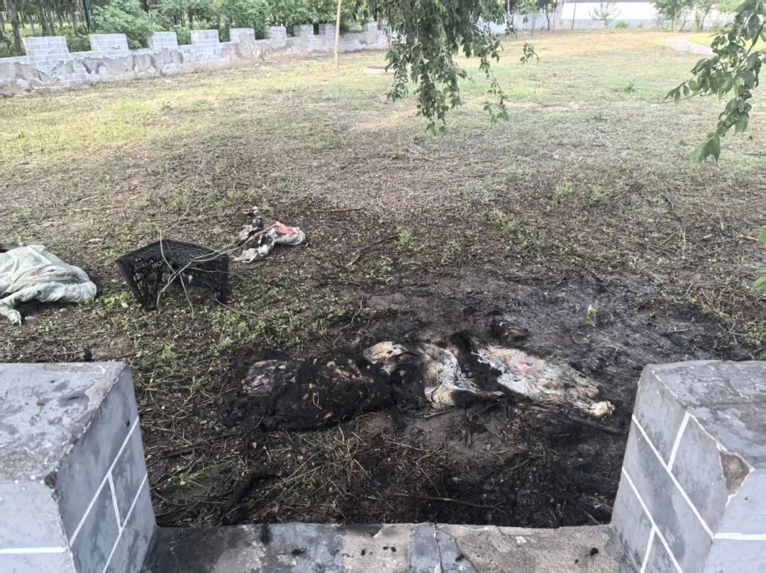 车辆起火,北京消防及时处置 车辆起火,北京消防及时处置