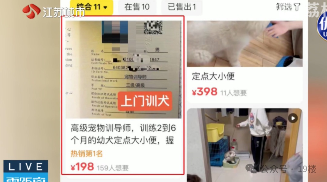 600块钱一节课教狗上厕所,没学会钱也不退…… 600块钱一节课教狗上厕所,没学会钱也不退……