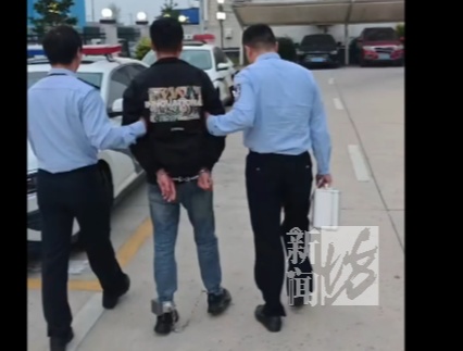 50万天价信鸽一夜被偷,翅膀全剪!盗贼竟是“内行”? 50万天价信鸽一夜被偷,翅膀全剪!盗贼竟是“内行”?