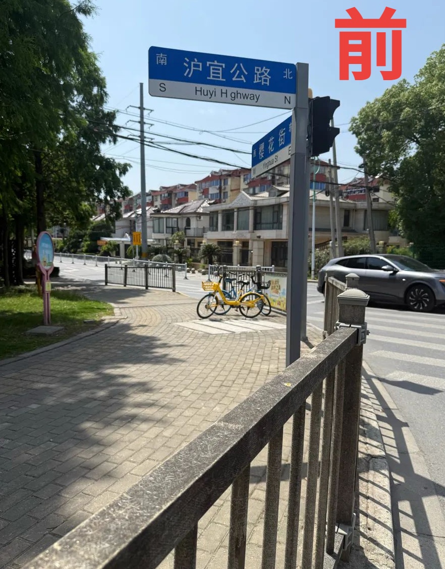 一摸就扎手！上海这些路边“刺客”到底什么来头？