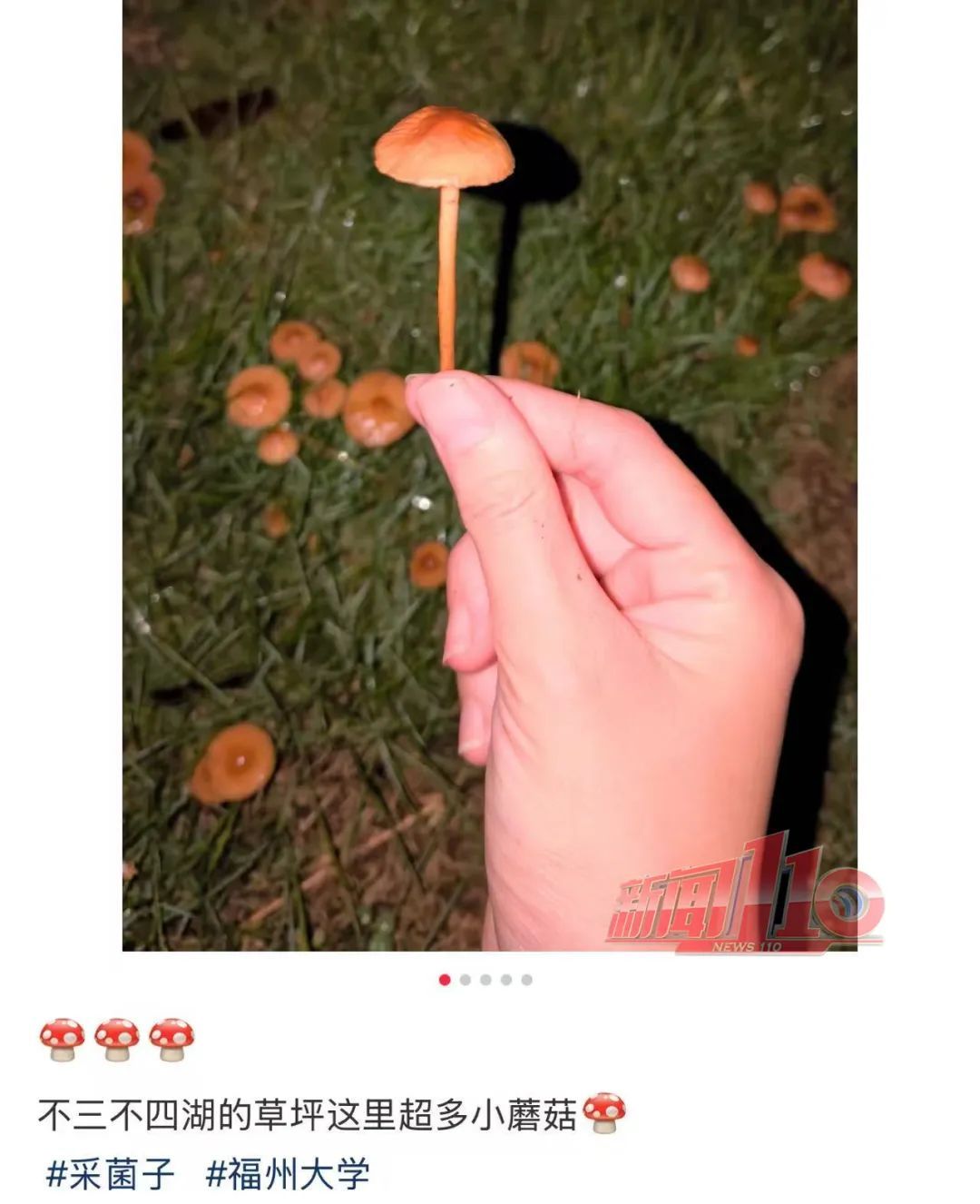 不要吃，不要碰！福州近期也出现了！