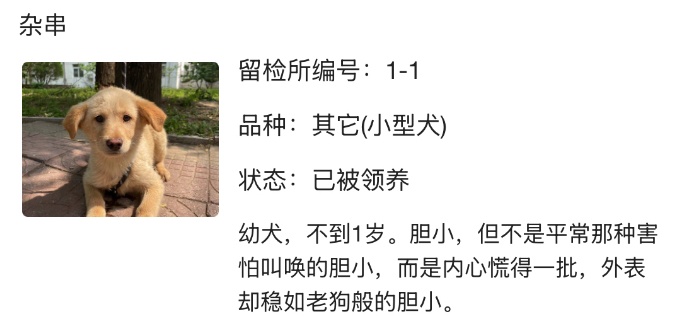 “北京公安局领养犬页面描述哭死我” “北京公安局领养犬页面描述哭死我”