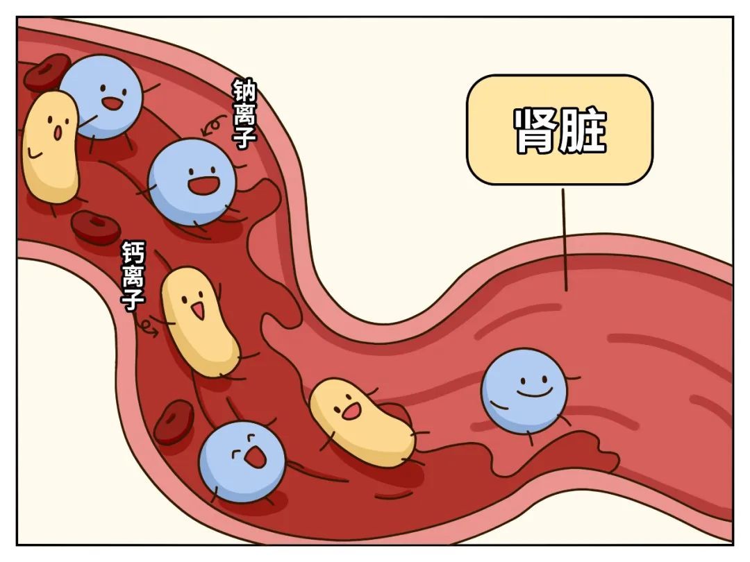 这个饮食习惯让骨头越来越脆,很多人每天都在做 这个饮食习惯让骨头越来越脆,很多人每天都在做