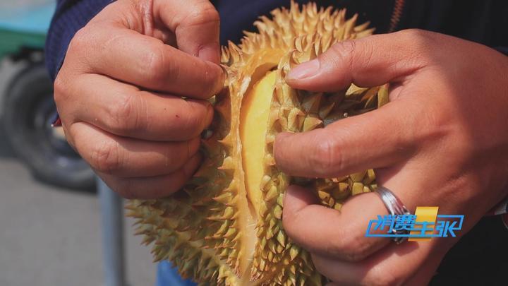 榴莲价格走低 首批国产“树上熟”榴莲也将上市！口感如何？