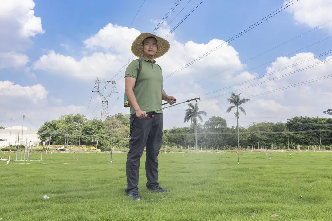 在广州,为何“房东”痴迷扒龙船? 在广州,为何“房东”痴迷扒龙船?