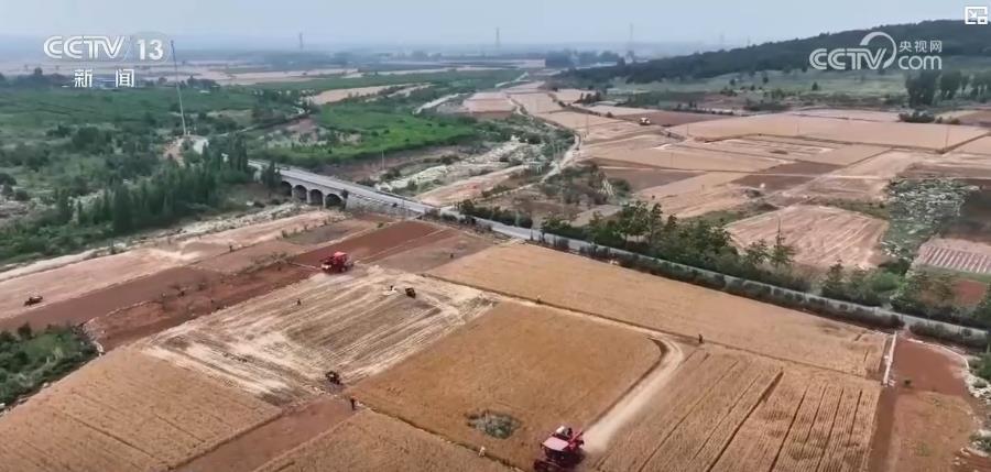 全国小麦收获进度过两成 多地迎来丰收季 全国小麦收获进度过两成 多地迎来丰收季