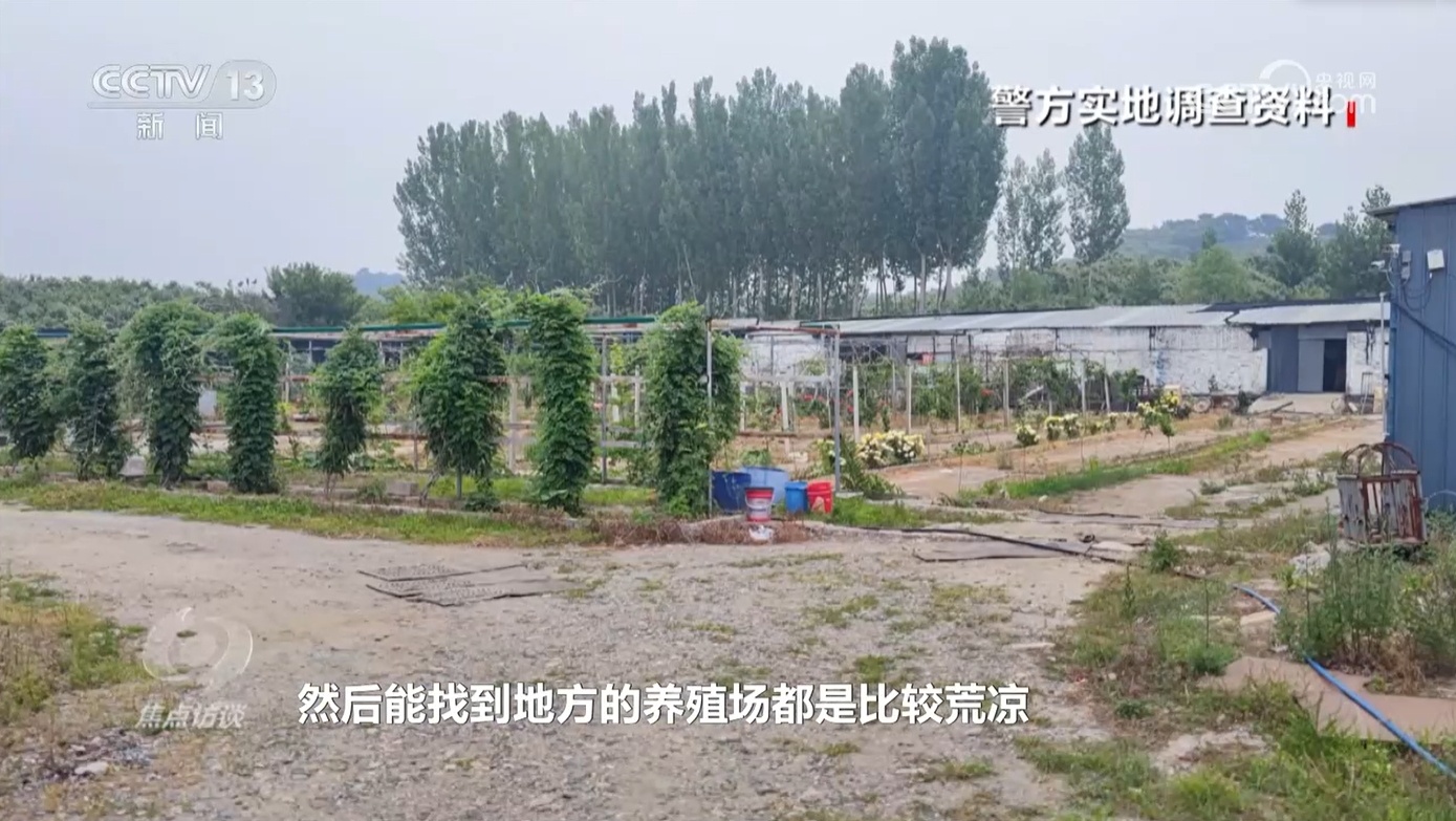 “云养殖”里藏骗局 多部门将联手严打此类非法金融活动