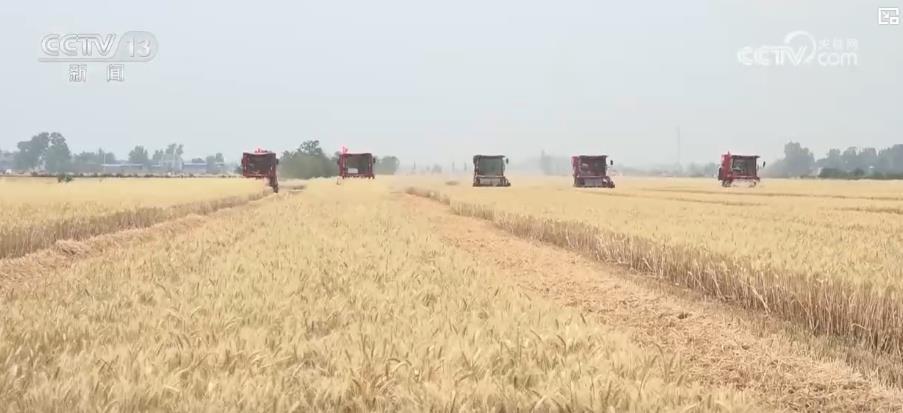夏收“新图景”：智能化农机助力颗粒归仓