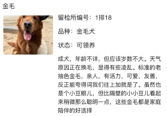 “北京公安局领养犬页面描述哭死我” “北京公安局领养犬页面描述哭死我”