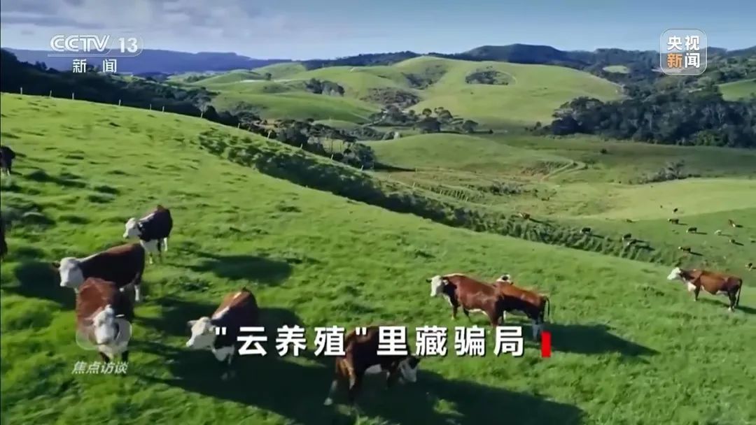 已有数万人被骗！“云认养”黑猪就能高额返利还稳赚不赔？起底“云养殖”骗局→