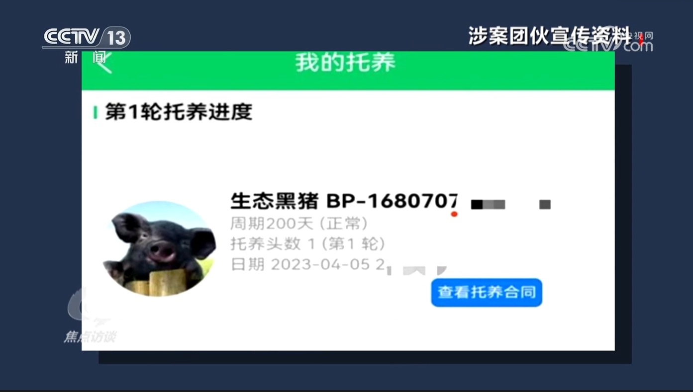 “云养殖”里藏骗局 多部门将联手严打此类非法金融活动
