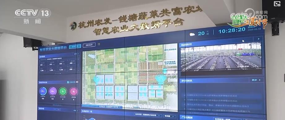 AI赋能“三夏”抢收忙 智慧农业绘就丰收新图景 AI赋能“三夏”抢收忙 智慧农业绘就丰收新图景