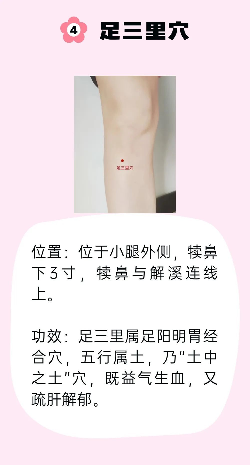 催乳不能只靠喝汤！油腻浓汤可能囤积脂肪，跟着中医调理才靠谱