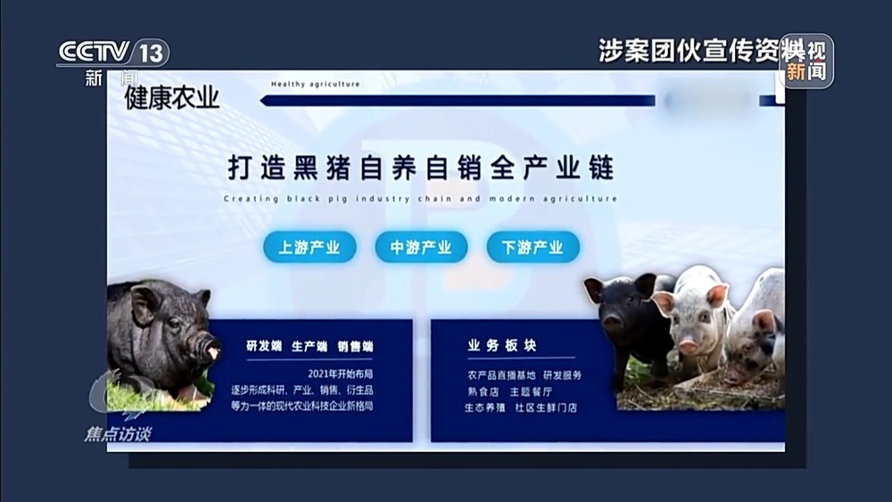 焦点访谈丨已有数万人被骗 起底“云养殖”里的骗局 焦点访谈丨已有数万人被骗 起底“云养殖”里的骗局