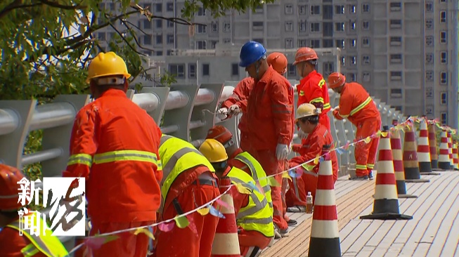 一摸就扎手！上海这些路边“刺客”到底什么来头？
