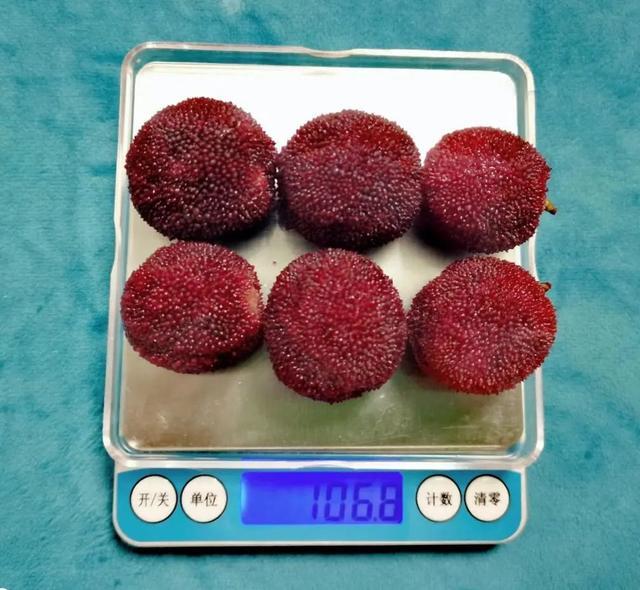 又到了吃虫，哦不，吃杨梅的季节了