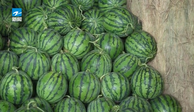 月入4万?供不应求!这个职业突然火了 月入4万?供不应求!这个职业突然火了