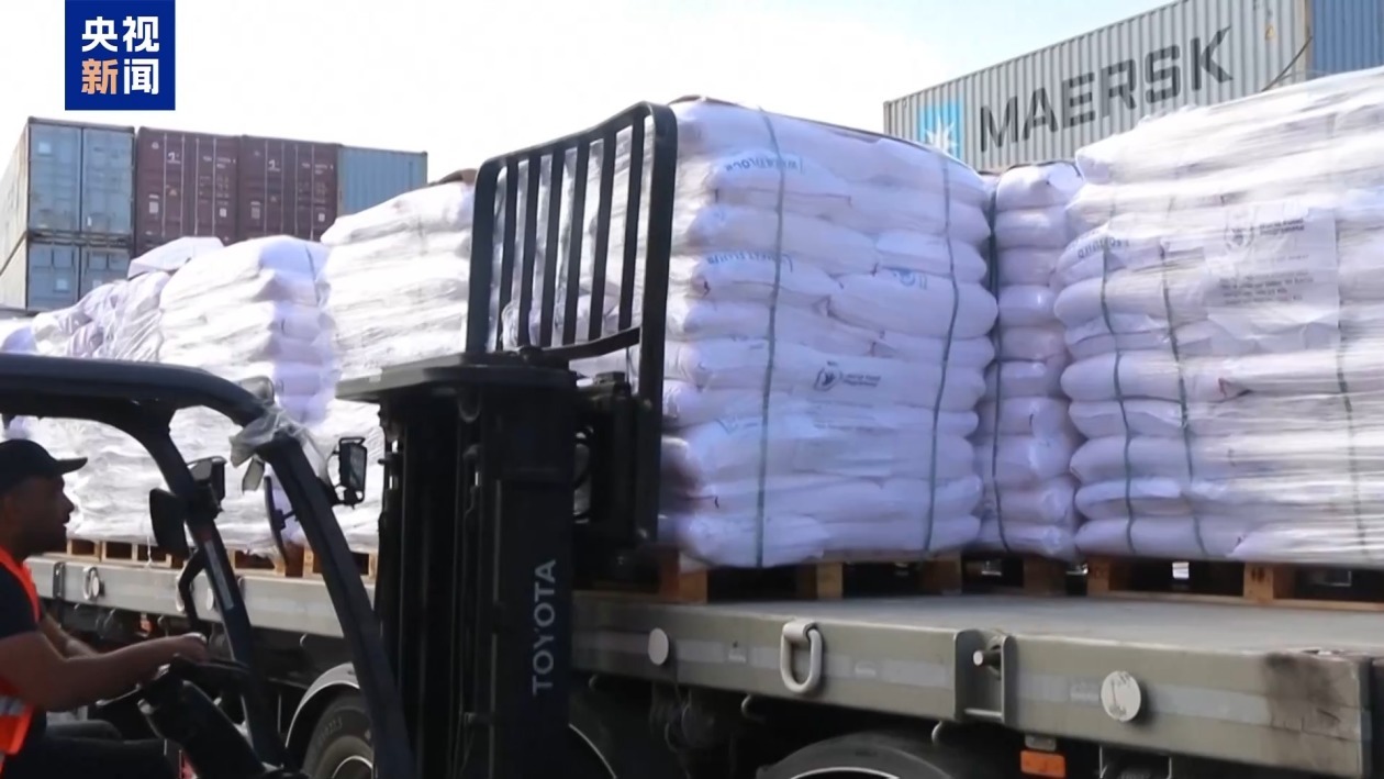 德国和瑞典领导人批评以军在加沙的行动 德国和瑞典领导人批评以军在加沙的行动