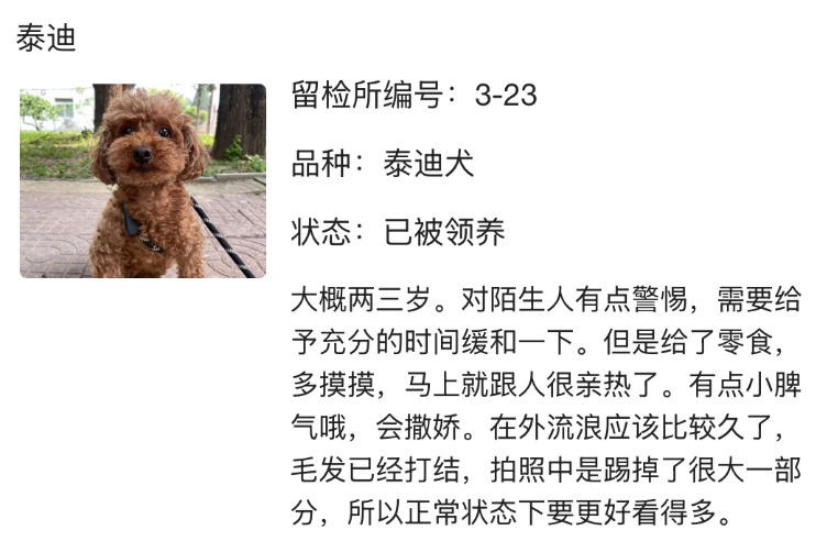 “北京公安局领养犬页面描述哭死我” “北京公安局领养犬页面描述哭死我”