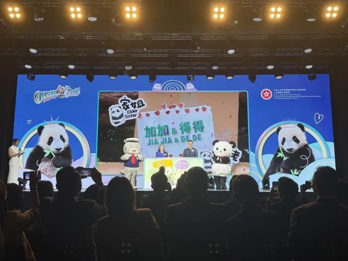 定了!香港顶流“加加”“得得”上线! 定了!香港顶流“加加”“得得”上线!