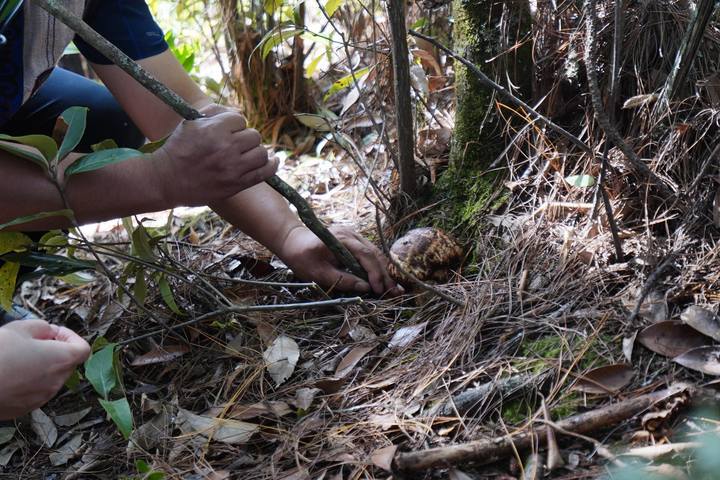 食菌季正式开启！云南网友纷纷晒出这样一条提示