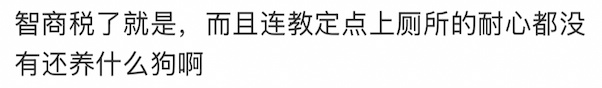 600块钱一节课教狗上厕所,没学会钱也不退…… 600块钱一节课教狗上厕所,没学会钱也不退……