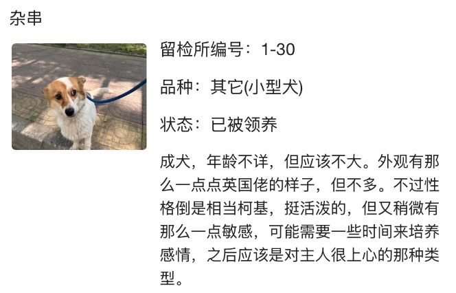 “北京公安局领养犬页面描述哭死我” “北京公安局领养犬页面描述哭死我”