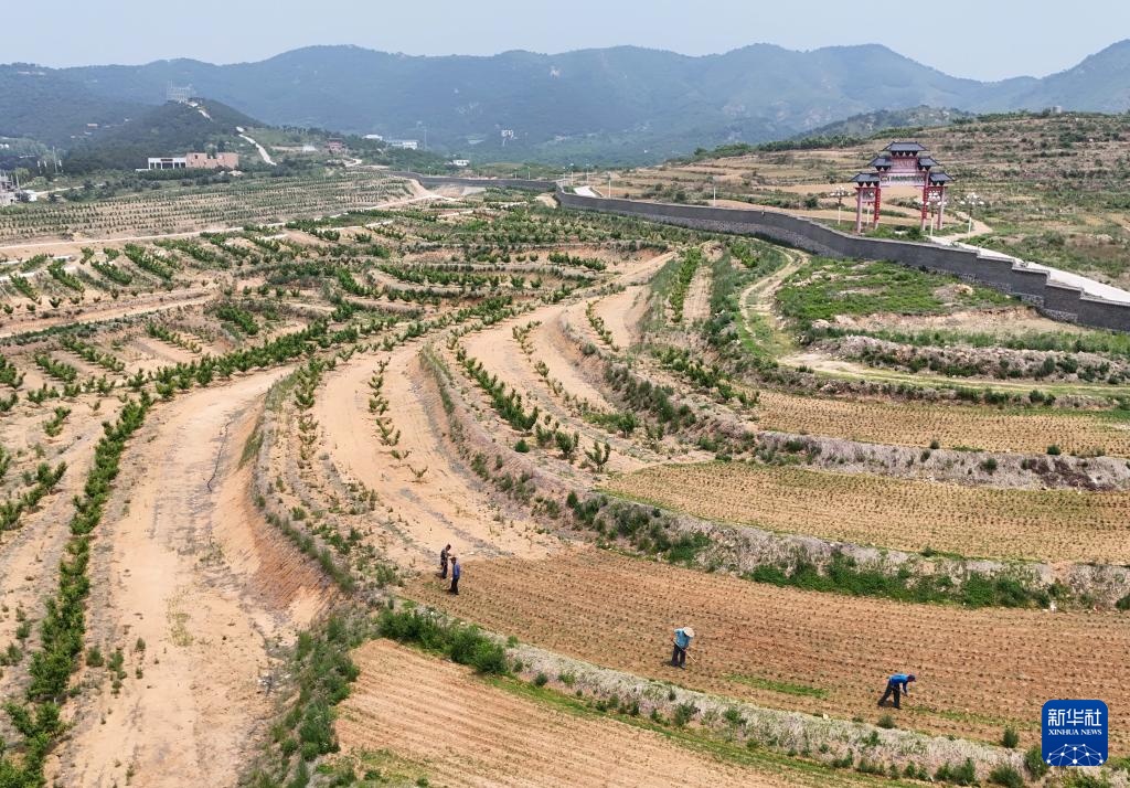 河北卢龙：小流域治理绘就生态丰饶画卷