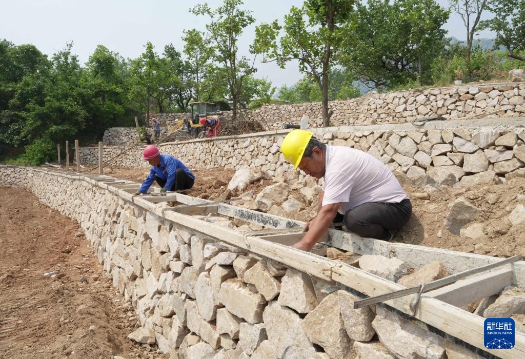 河北卢龙：小流域治理绘就生态丰饶画卷
