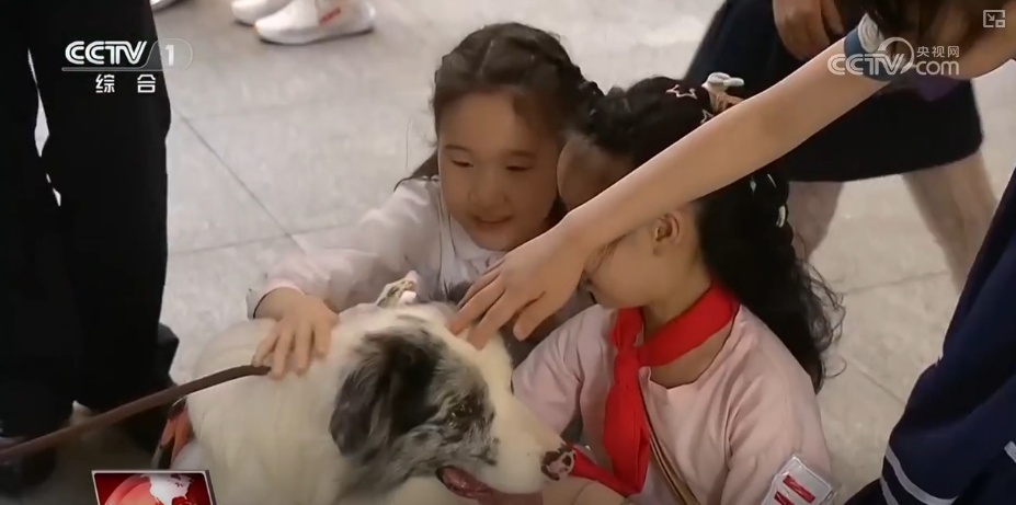 各地多彩活动迎“六一” 守护红色根脉做新时代好少年 各地多彩活动迎“六一” 守护红色根脉做新时代好少年