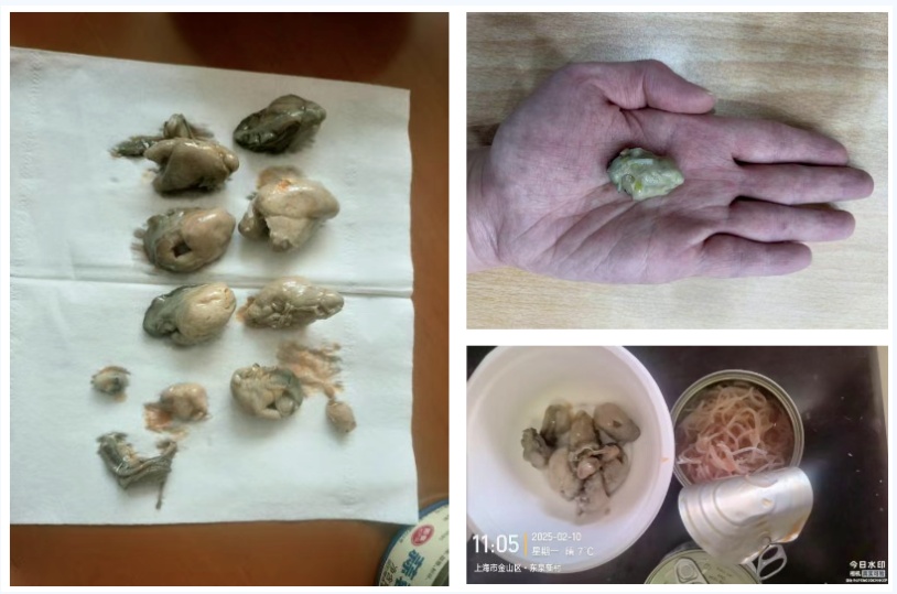 “网购10斤花生米到手只有10粒”上热搜!竟还有更离谱的 “网购10斤花生米到手只有10粒”上热搜!竟还有更离谱的