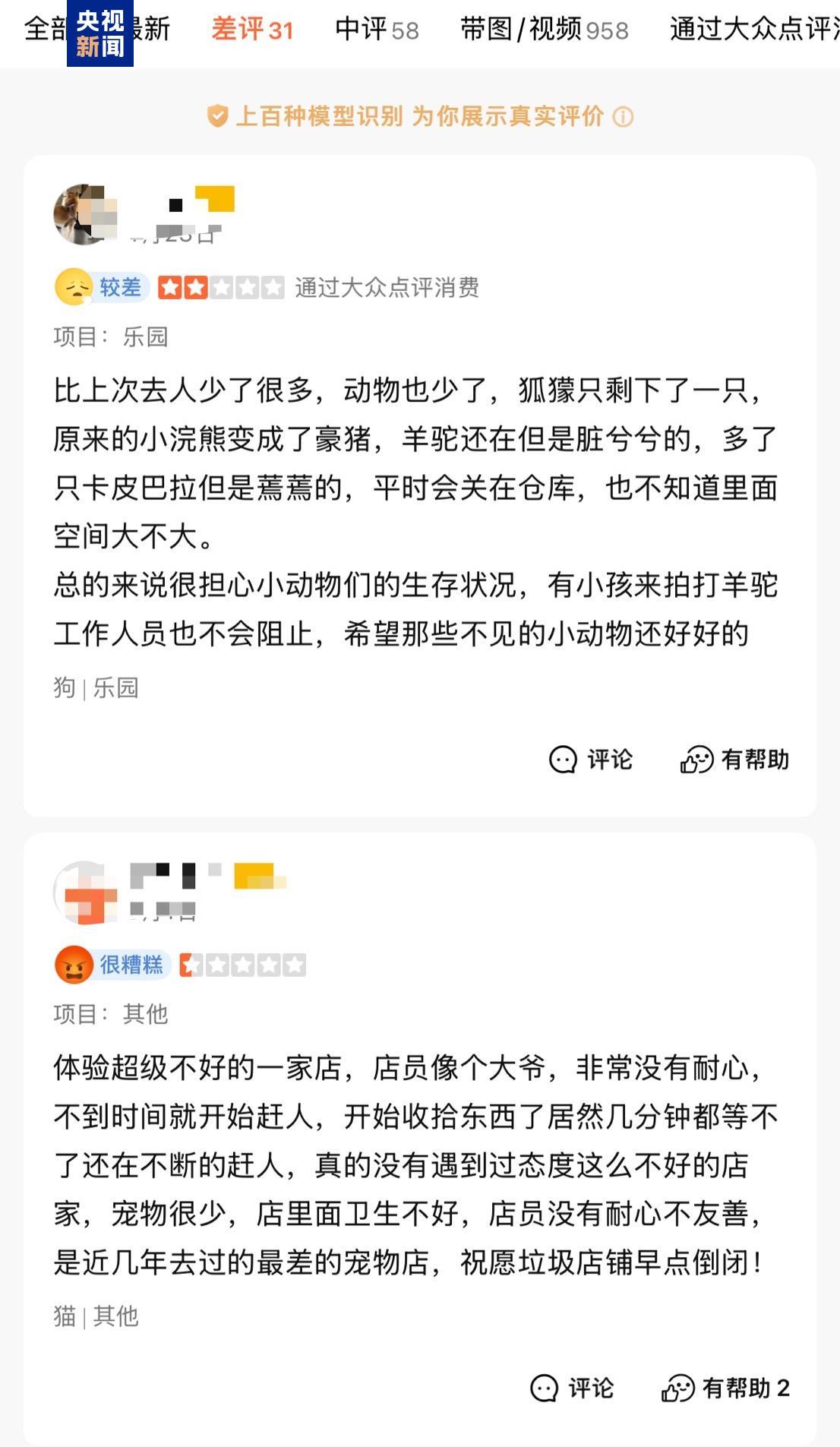 卡皮巴拉、羊驼入驻商场、写字楼 究竟暗藏哪些隐患? 卡皮巴拉、羊驼入驻商场、写字楼 究竟暗藏哪些隐患?