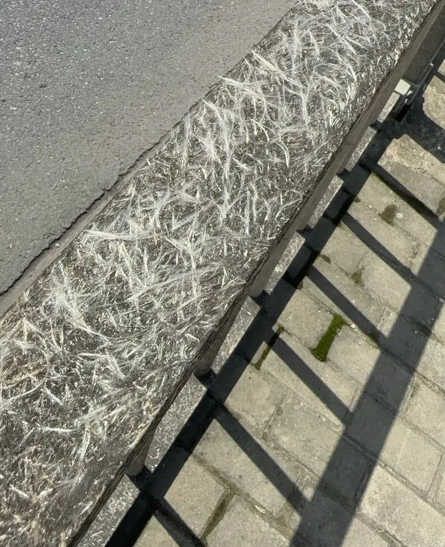 很痒!去医院也清理不干净!很多人家里就有,不要摸…… 很痒!去医院也清理不干净!很多人家里就有,不要摸……