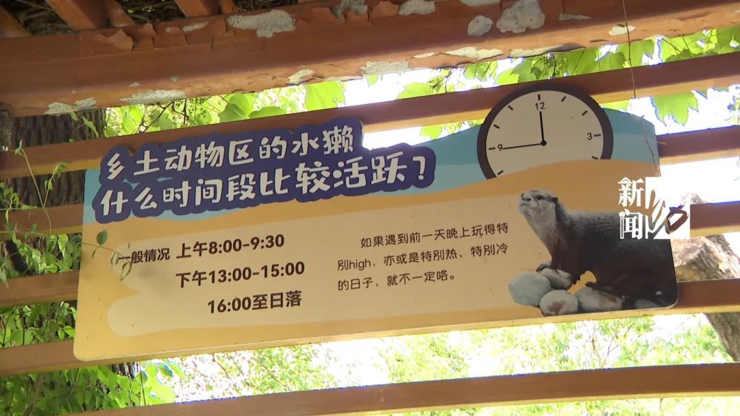 注意！上海这里“嘤嘤怪”出没！你见过没？！