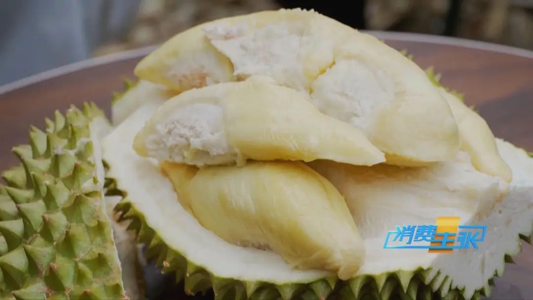 大量国产榴莲即将上市,价格大跳水! 大量国产榴莲即将上市,价格大跳水!