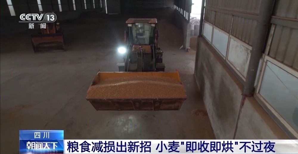 粮食减损出新招 小麦“即收即烘”不过夜 粮食减损出新招 小麦“即收即烘”不过夜