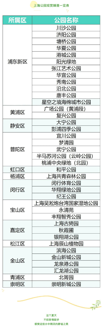 睡莲花开，这幅申城“赏莲地图”别错过→