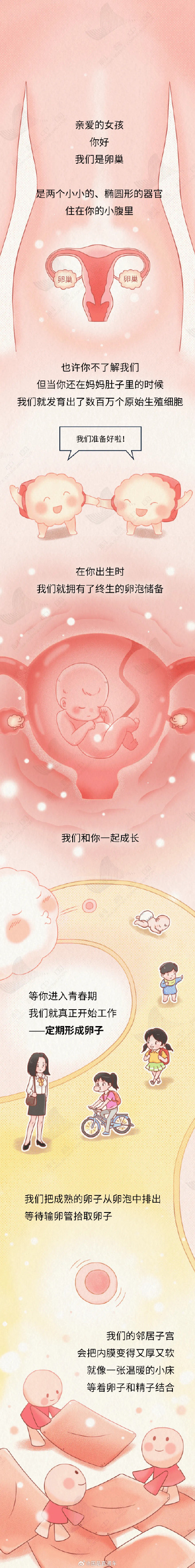 卵巢的一生不是女孩的一生 女性不必月经羞耻和停经焦虑 卵巢的一生不是女孩的一生 女性不必月经羞耻和停经焦虑