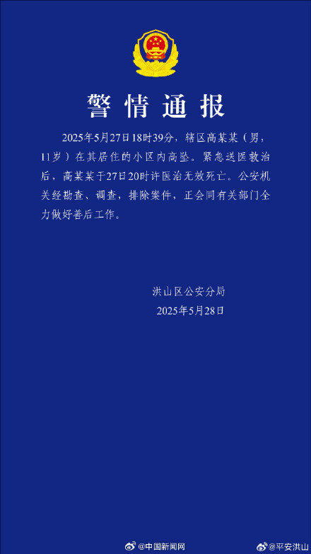 警方通报武汉一11岁男孩坠亡:排除案件 警方通报武汉一11岁男孩坠亡:排除案件