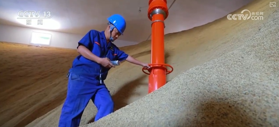 粮食减损过硬“新招”让颗粒归仓有保障 科技赋能夯实粮食安全 粮食减损过硬“新招”让颗粒归仓有保障 科技赋能夯实粮食安全