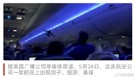 美媒曝画面：因机舱内出现两只鸟，达美航空公司一航班延误56分钟
