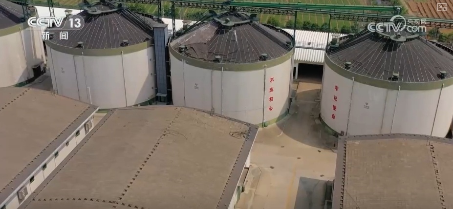 粮食减损过硬“新招”让颗粒归仓有保障 科技赋能夯实粮食安全 粮食减损过硬“新招”让颗粒归仓有保障 科技赋能夯实粮食安全