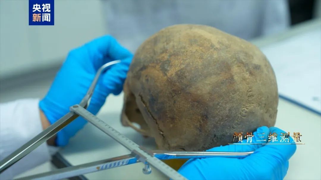 考古成果上新!中国龙再添新形象 考古成果上新!中国龙再添新形象