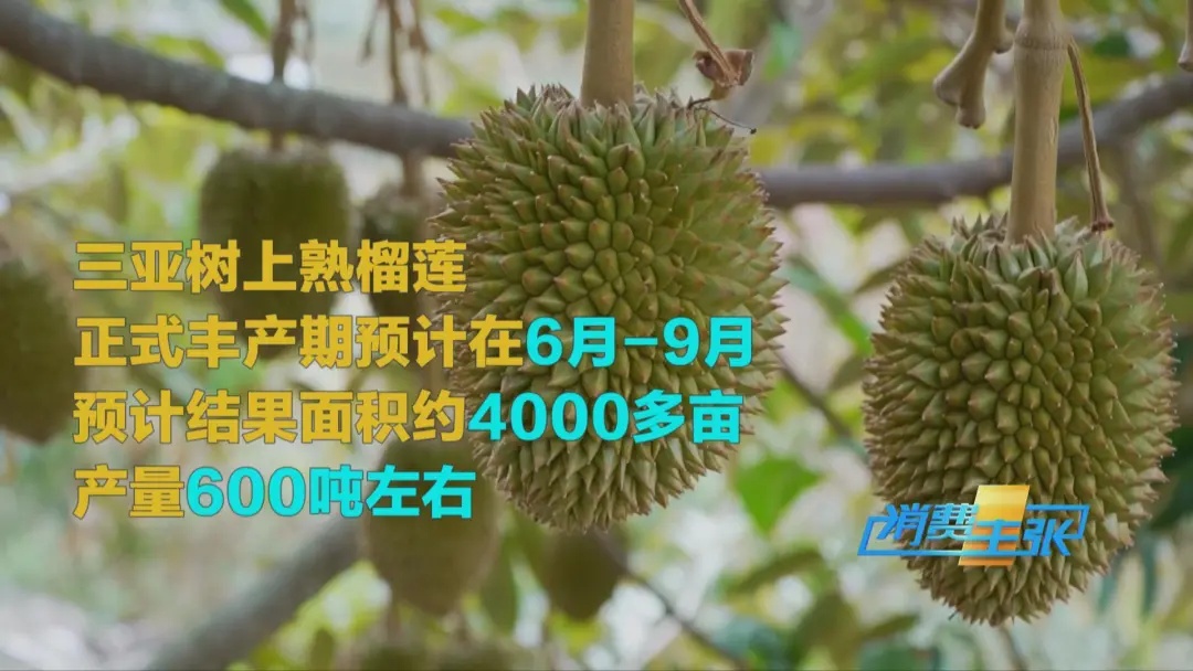价格腰斩，还能再降！