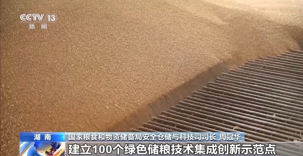 粮食减损出新招 小麦“即收即烘”不过夜 粮食减损出新招 小麦“即收即烘”不过夜