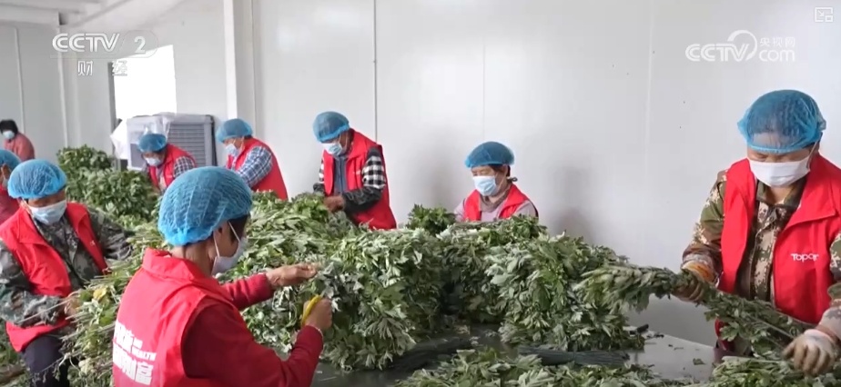 端午周边产品产销旺 传统节日新鲜创意撬动经济发展新“引擎”