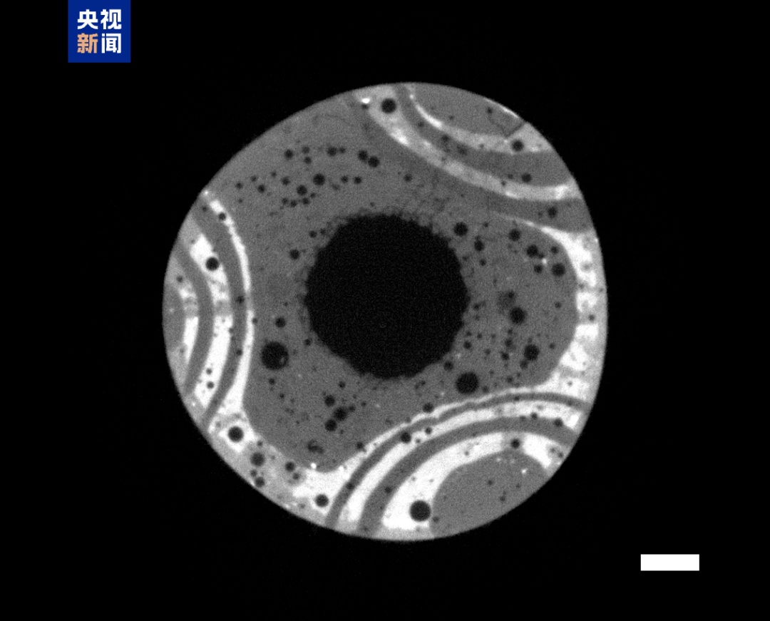 考古成果上新!中国龙再添新形象 考古成果上新!中国龙再添新形象