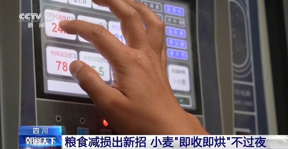 粮食减损出新招 小麦“即收即烘”不过夜 粮食减损出新招 小麦“即收即烘”不过夜