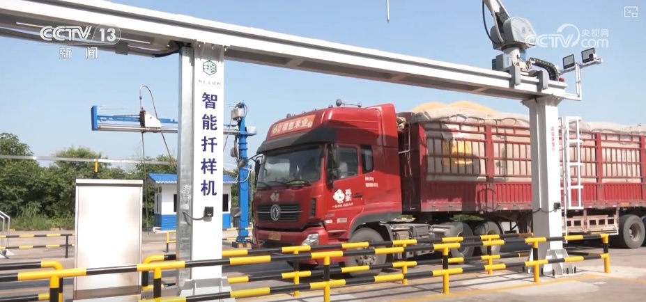 粮食减损过硬“新招”让颗粒归仓有保障 科技赋能夯实粮食安全 粮食减损过硬“新招”让颗粒归仓有保障 科技赋能夯实粮食安全